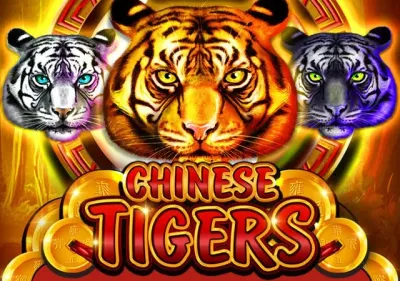 Chinese Tigers